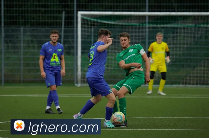 蓝冠在线官网APP 封面图